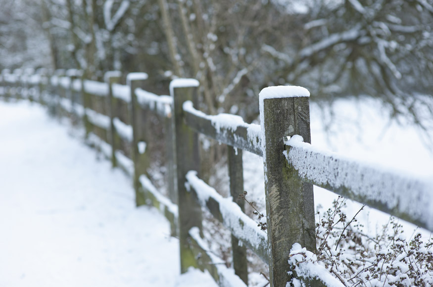 Winter on the Farm: Matthew Evans - Murdoch Books (5 of 14)